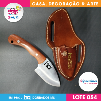 lote-54