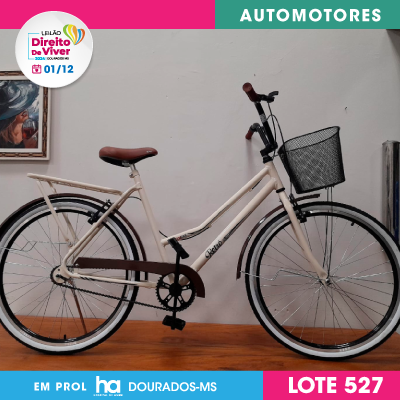 LOTE-527