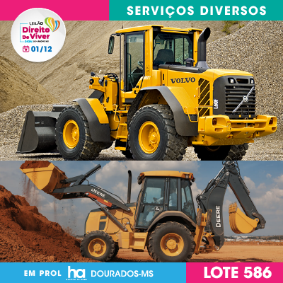 LOTE 586